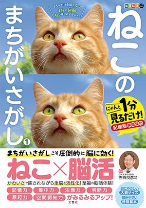 毎日脳活スペシャル　ねこのまちがいさがし１