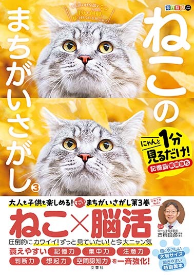 毎日脳活スペシャル　ねこのまちがいさがし３