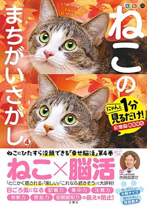 毎日脳活スペシャル　ねこのまちがいさがし４