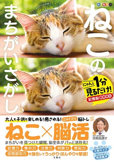 毎日脳活スペシャル　ねこのまちがいさがし５