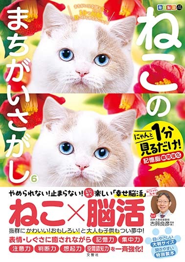 毎日脳活スペシャル　ねこのまちがいさがし６