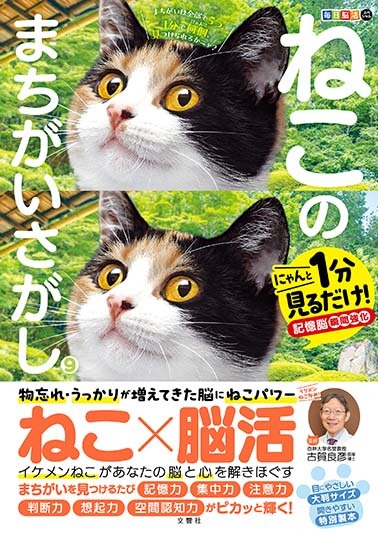 毎日脳活スペシャル　ねこのまちがいさがし9