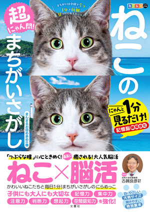 毎日脳活スペシャル　超にゃん問！　ねこのまちがいさがし　まんまるお目め多めの巻