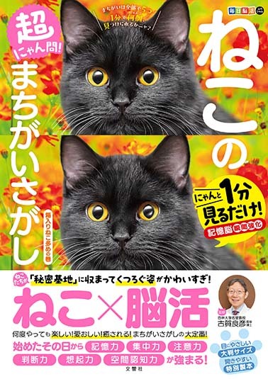 毎日脳活スペシャル　超にゃん問！　ねこのまちがいさがし　箱入りねこ多めの巻