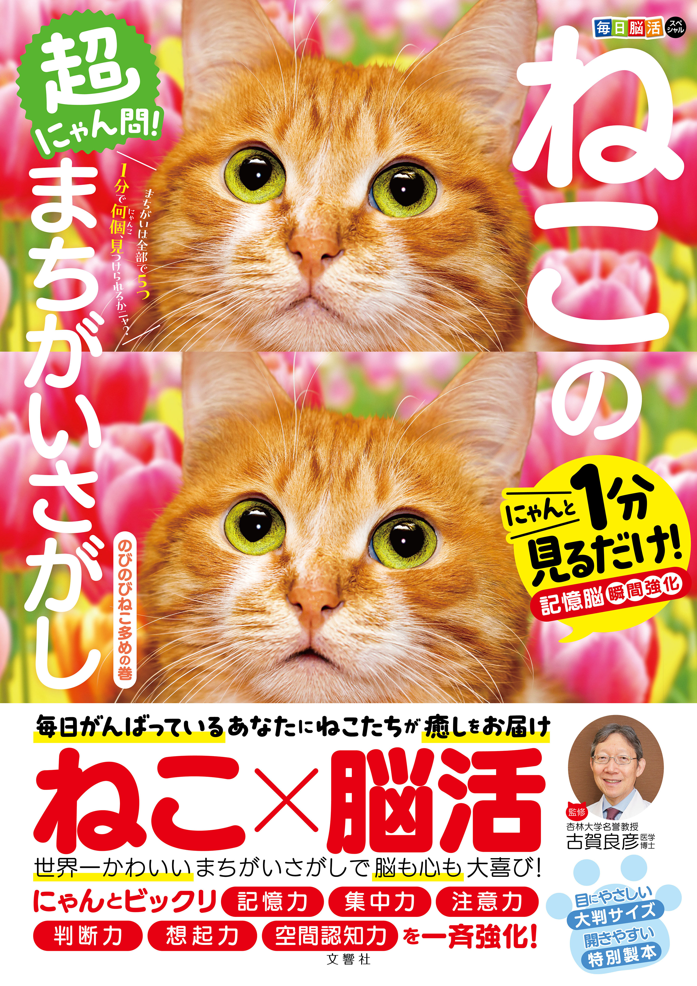 毎日脳活スペシャル ねこのまちがいさがし10 にゃんと1分見る
